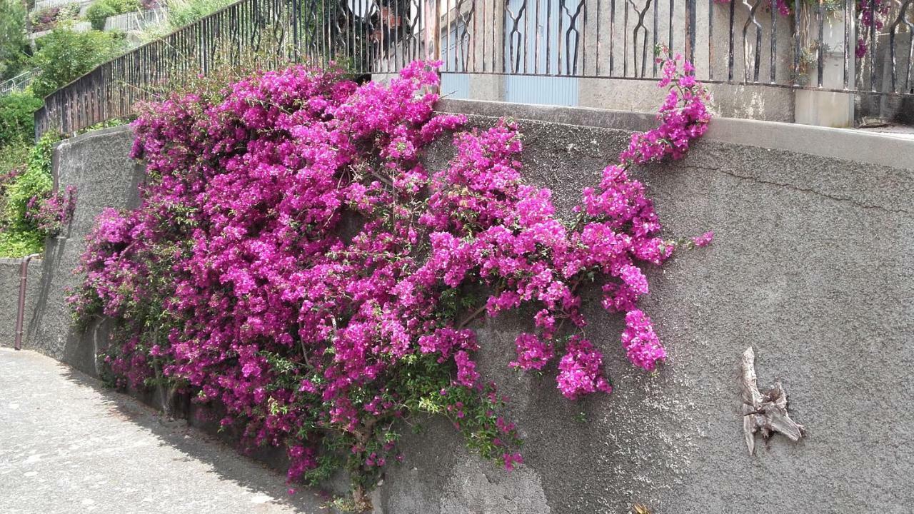 Un Gioiello Con Vista Mare Moneglia Exterior foto
